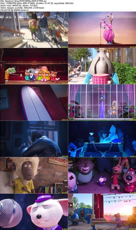 sing sing xvid